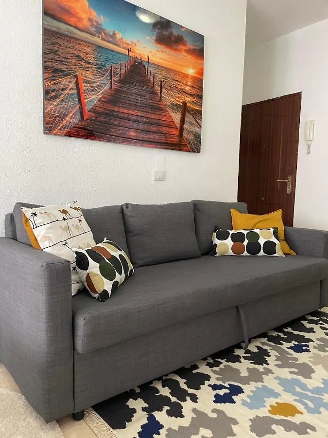 Sunny Apartment In The Heart Of Santa Cruz