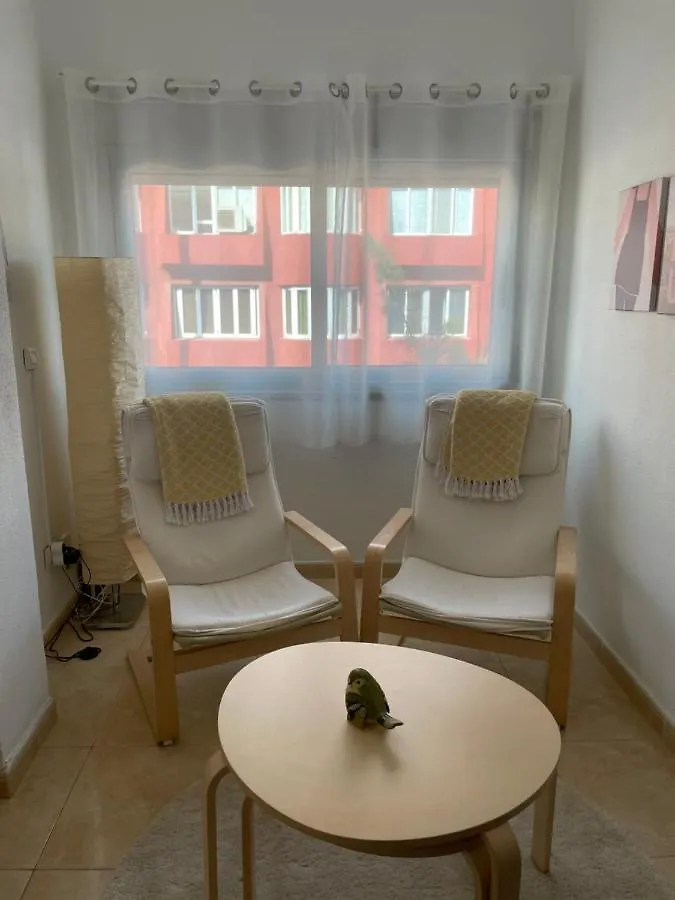 Sunny Apartment In The Heart Of Santa Cruz  圣克鲁斯-德特内里费
